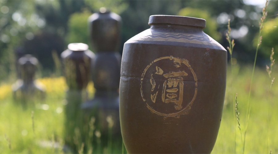 堅持每天喝一杯“白酒”，這4個好處可能會“不請自來”！